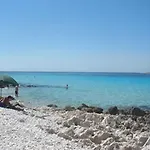 Nenich Aves Žman