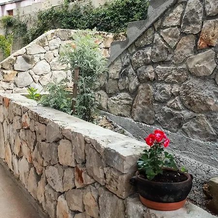 Nenich Aves Žman