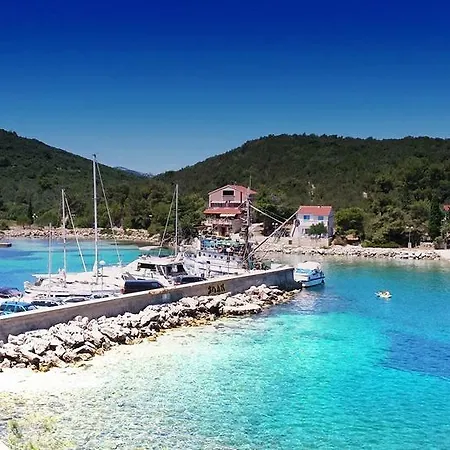 Nenich Aves Žman