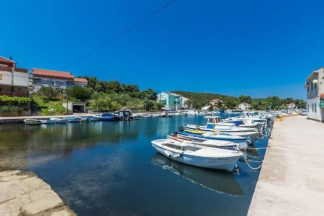 Nenich Aves Žman