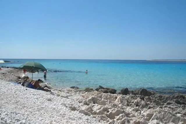 Nenich Aves Žman