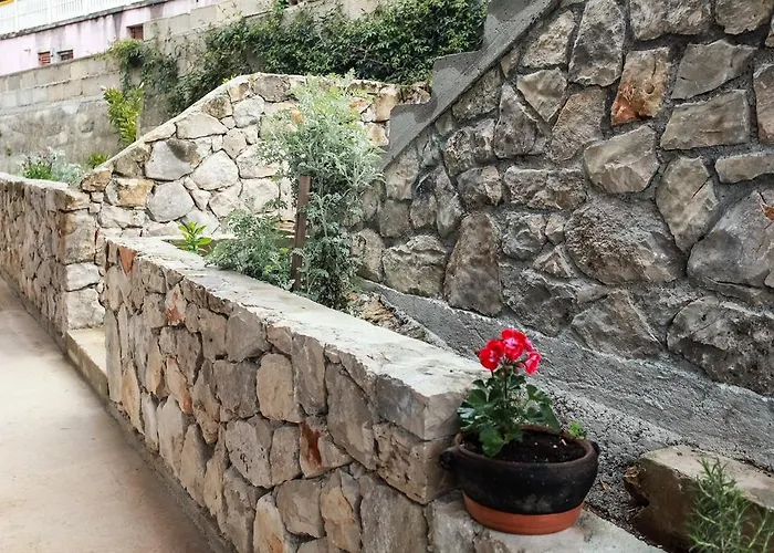 Nenich Aves Žman