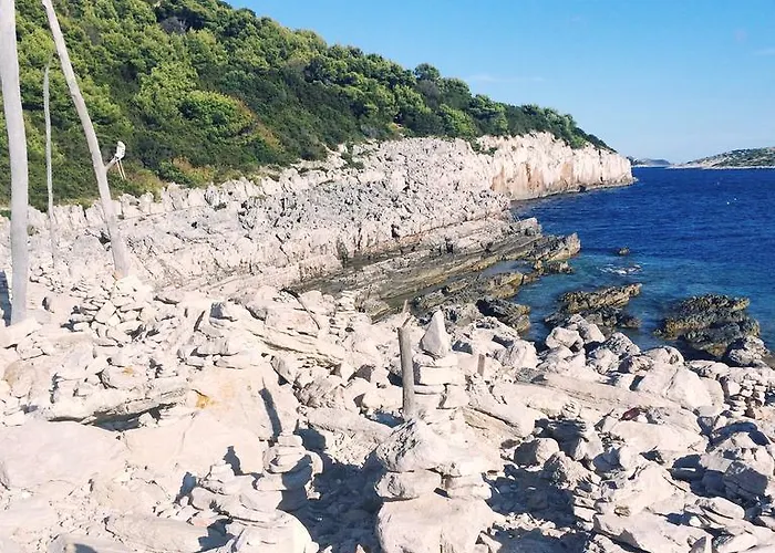 Nenich Aves * Žman