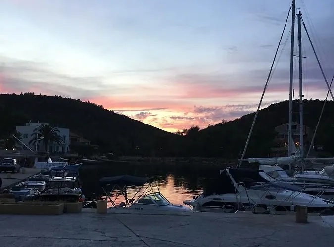 Nenich Aves * Žman