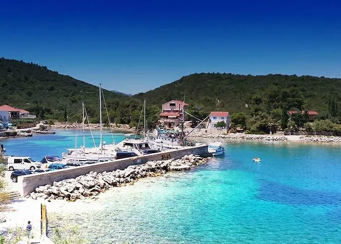 Nenich Aves Žman