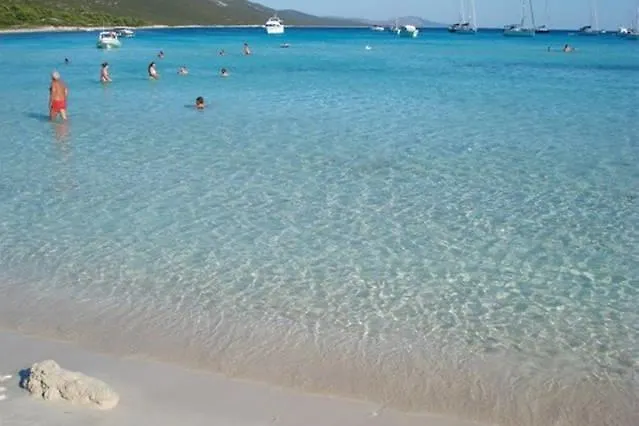 아파트 Nenich Aves