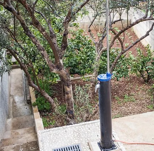 아파트 Nenich Aves