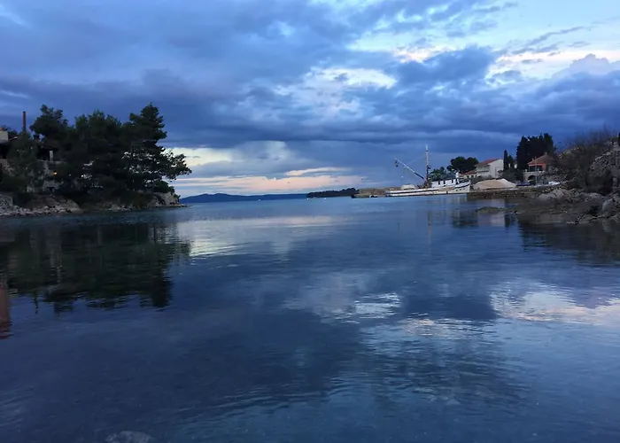 Nenich Aves 아파트